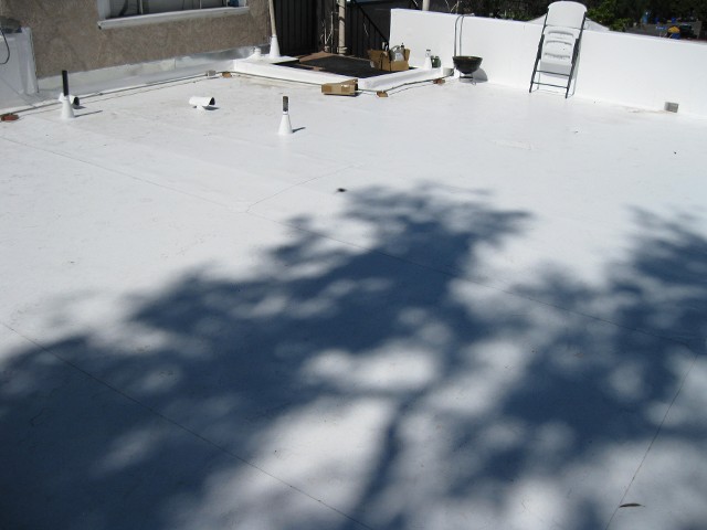 New Roof on Tradition One New Roof on Tradition One
