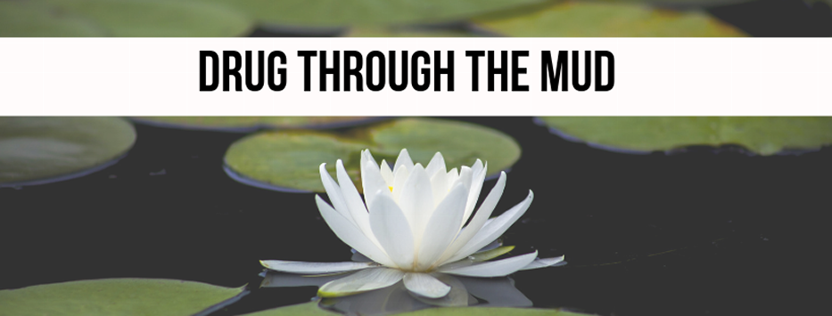 lotus flower; drug through the mud lotus flower; drug through the mud
